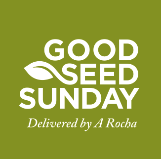 Good Seed Sunday