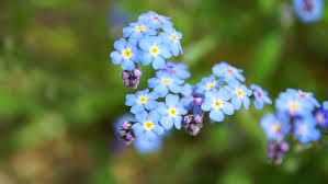 Southpoint News August 18, 2016