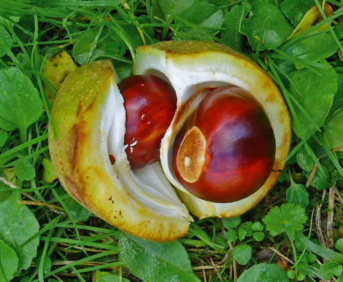 Southpoint News October 7, 2016