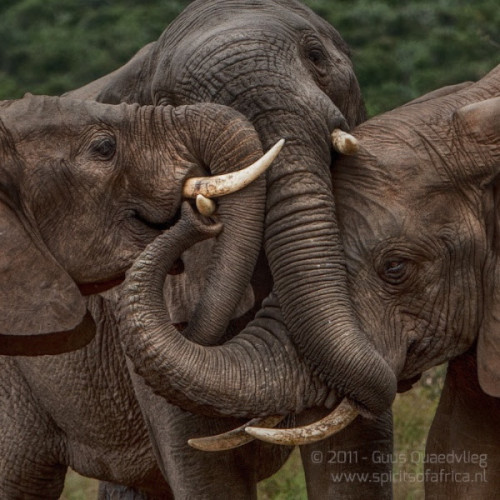 Southpoint News May 12, 2017