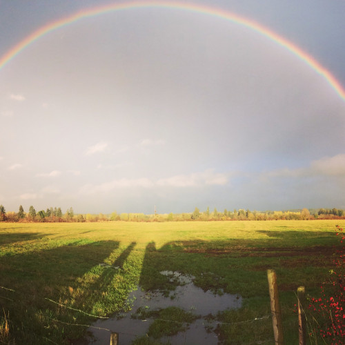 Southpoint News May 25, 2017