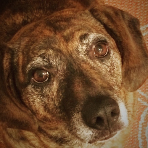 Southpoint News July 27, 2017