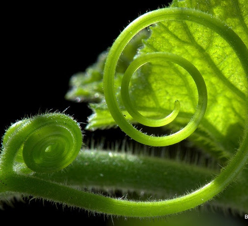 Southpoint News July 21, 2017