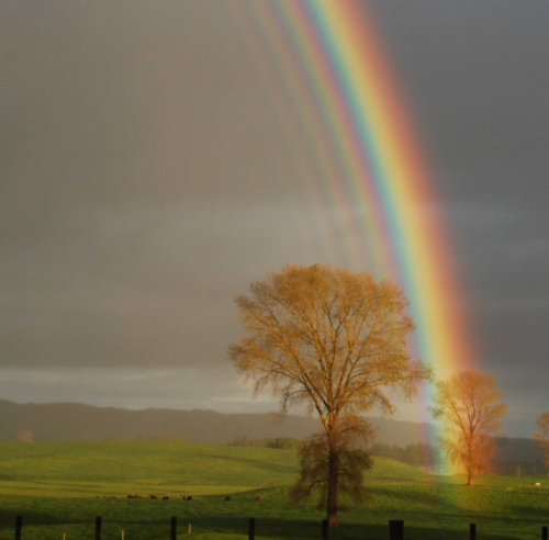 Southpoint News September 29, 2017