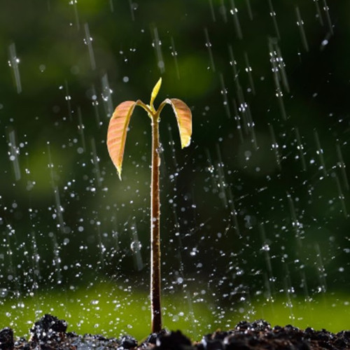 Southpoint News September 15, 2017