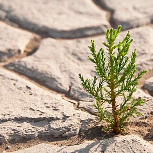 Southpoint News September 7, 2017