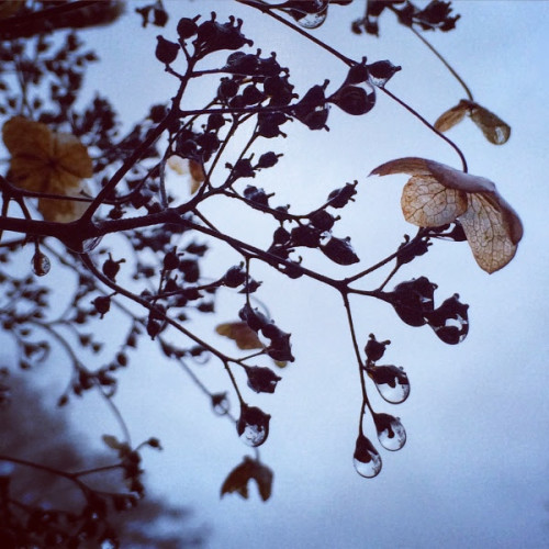 Southpoint News October 19, 2017