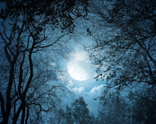 Southpoint News November 23, 2017