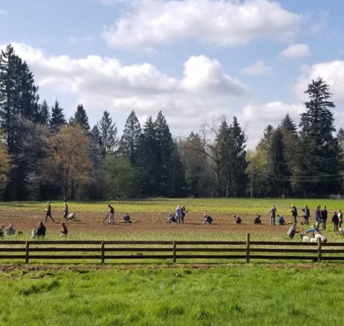 Southpoint News April 28, 2018