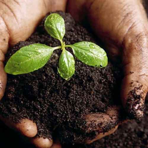 Southpoint News June 2, 2018