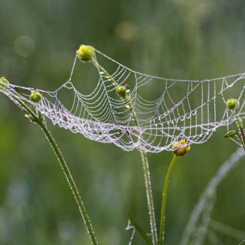 Southpoint News July 24, 2018