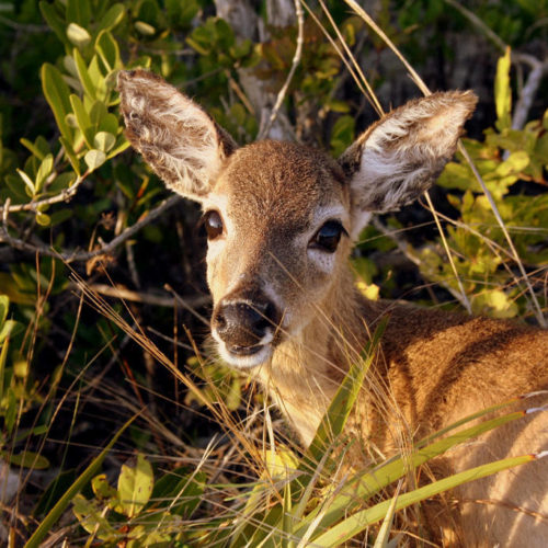 Southpoint News August 19, 2018