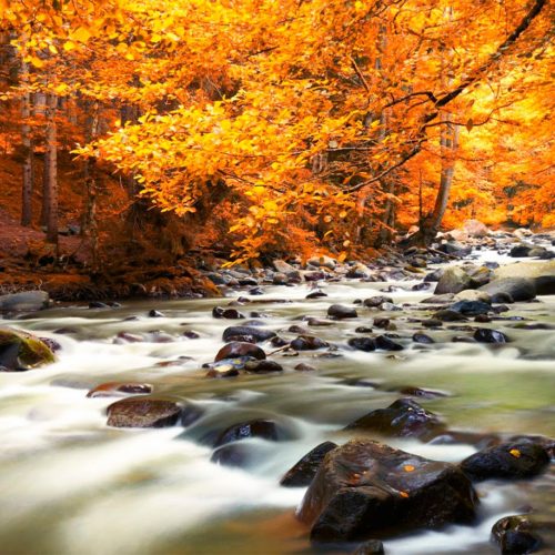 Southpoint News – Oct 7, 2018