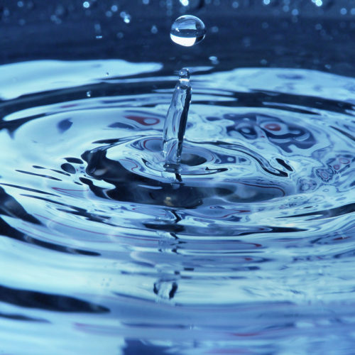 Southpoint News Week of March 10th, 2019