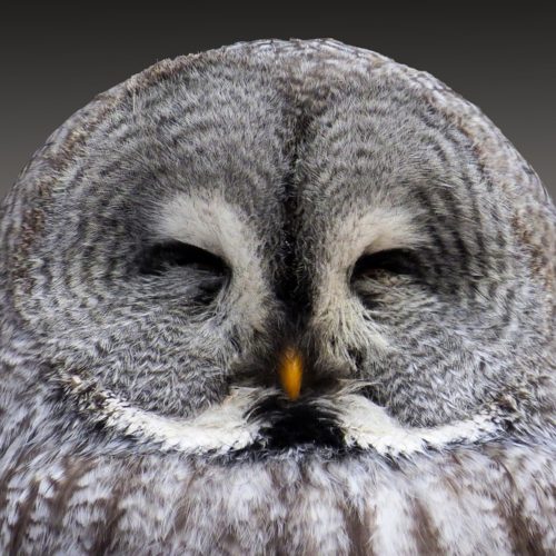 Southpoint News – Week of October 6th, 2019