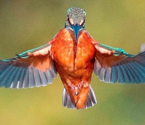 Southpoint News – Week of November 3rd, 2019