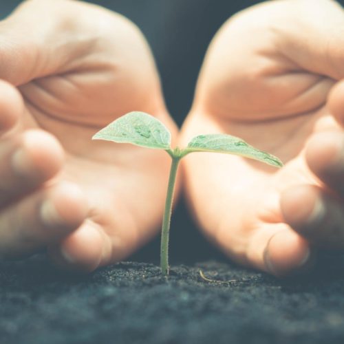 Southpoint News – Week of October 13th, 2019