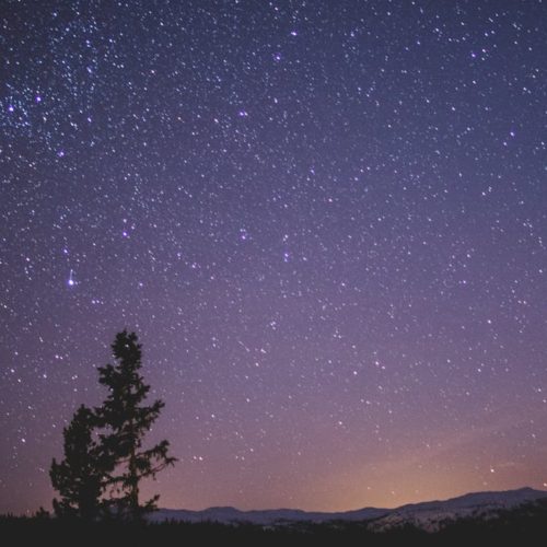 Southpoint News – Week of December 1st, 2019