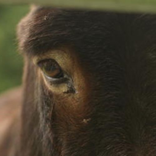 Week of March 28-April 3, 2021.