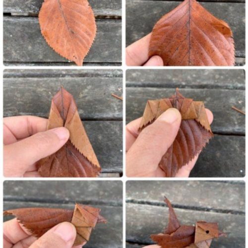 Week of June 6-12, 2021.