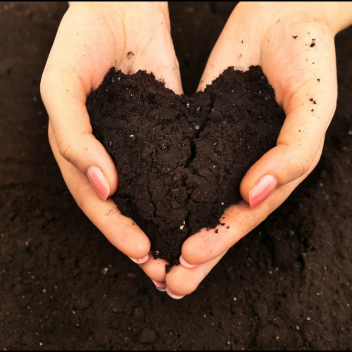 New Series this Sunday: “Safe Soil”