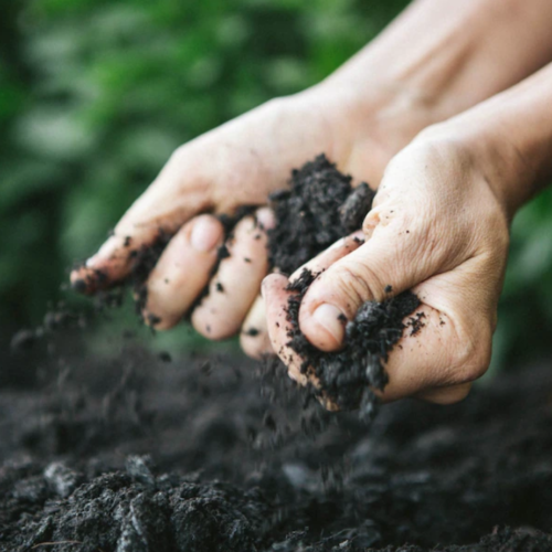 Becoming Safer Soil