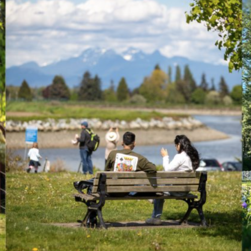 Creatures and Cohabitors of this World