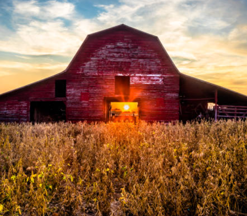 The Big Barn Syndrome